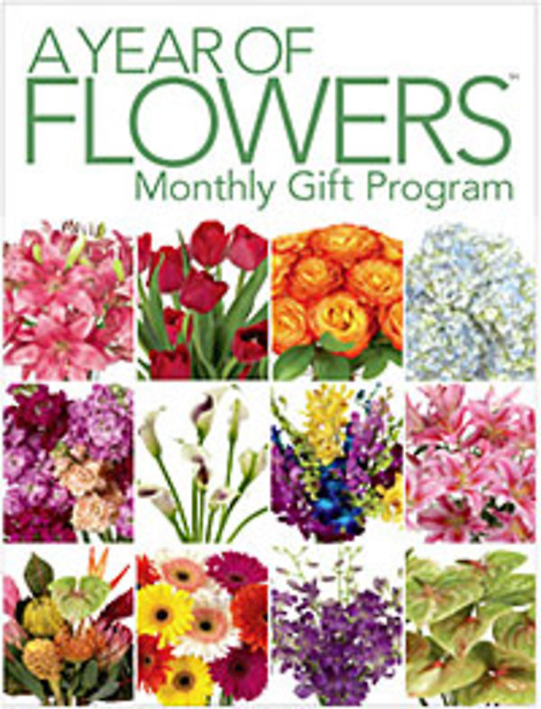 A Year of Flowers