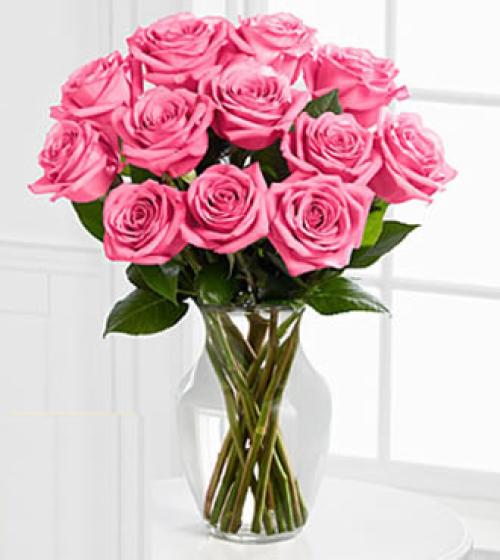 A Perfect Pink Dozen