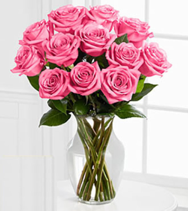 A Perfect Pink Dozen