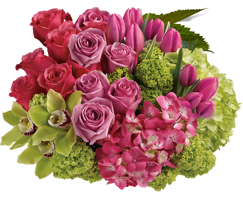 Everyday Flowers
