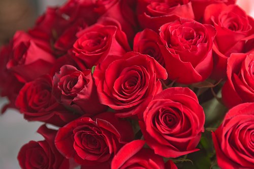 Roses