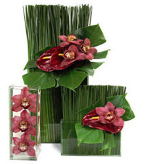 A Season of Flowers